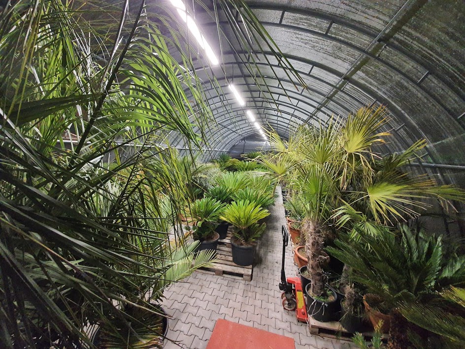 Skleník exotických rastlín TUMA v Bánovciach nad Bebravou